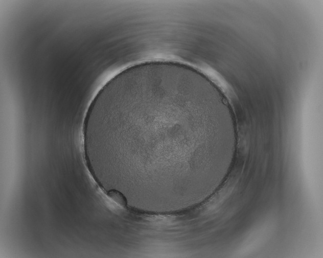 X0000111581287200907161417