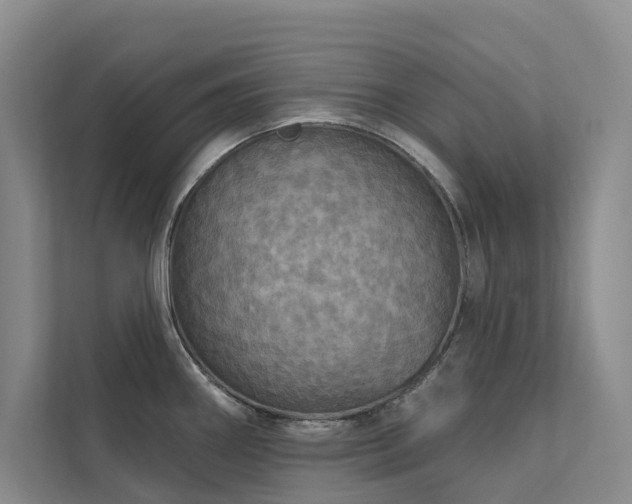 X0000111581290200907161417