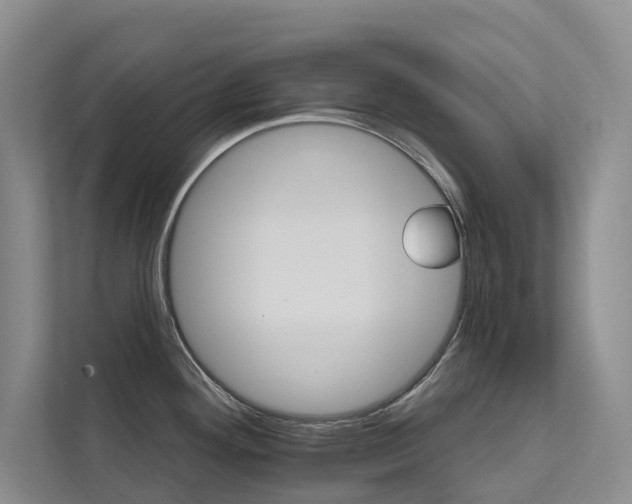 X0000111581292200907161417