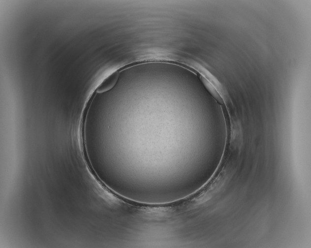 X0000111581293200907161417