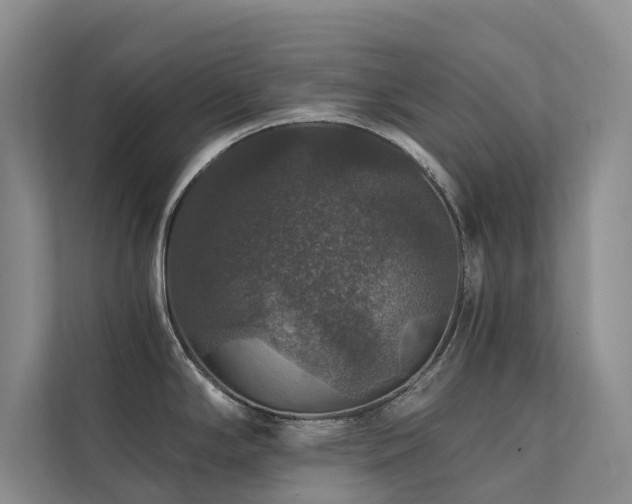 X0000111581294200907161417