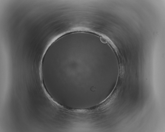 X0000111581295200907161417