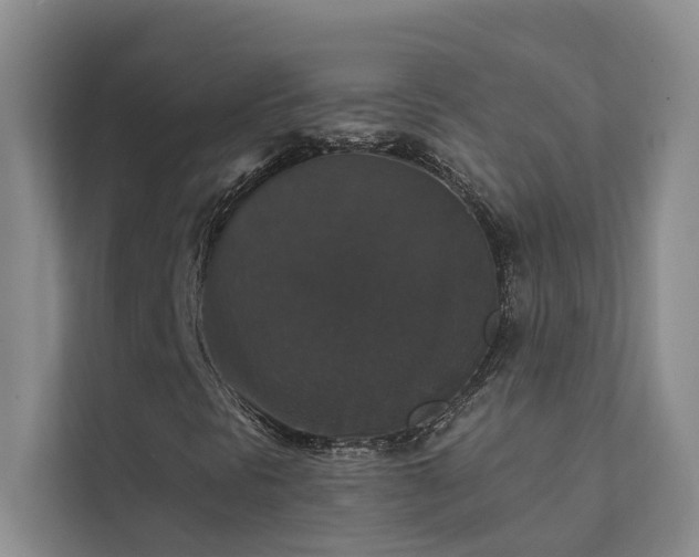 X0000111581297200907161416