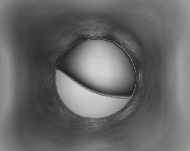 X0000111581300200907161417