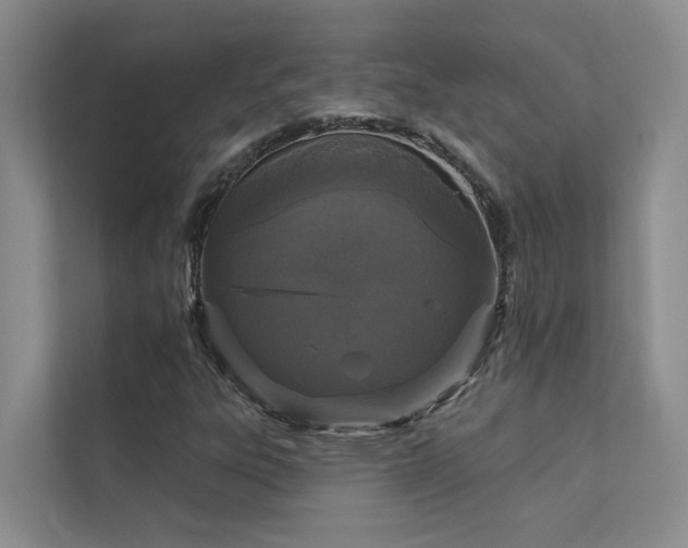X0000111581303200907161417