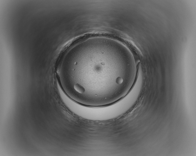X0000111581304200907161417
