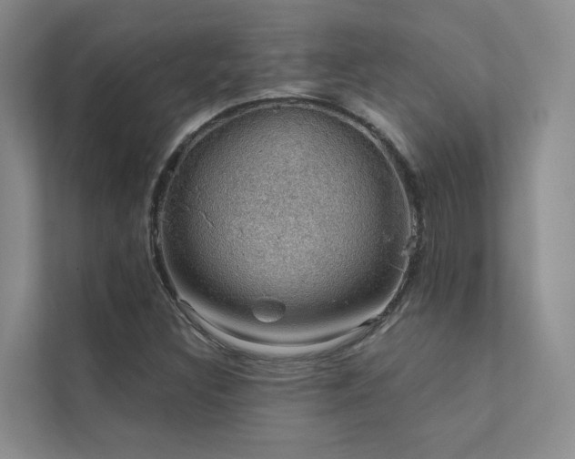 X0000111581308200907161417