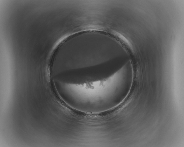 X0000111581310200907161417