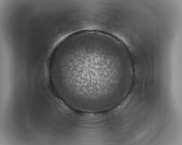 X0000111581311200907161417