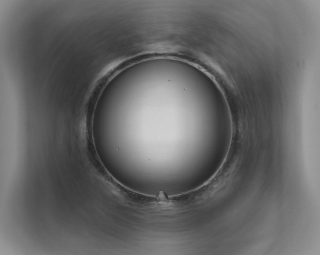 X0000111581315200907161417