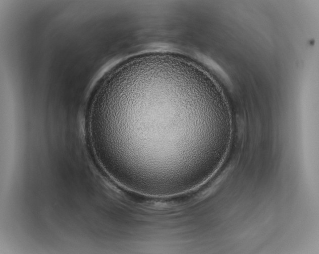 X0000111581318200907161417