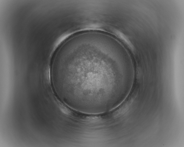 X0000111581320200907161417