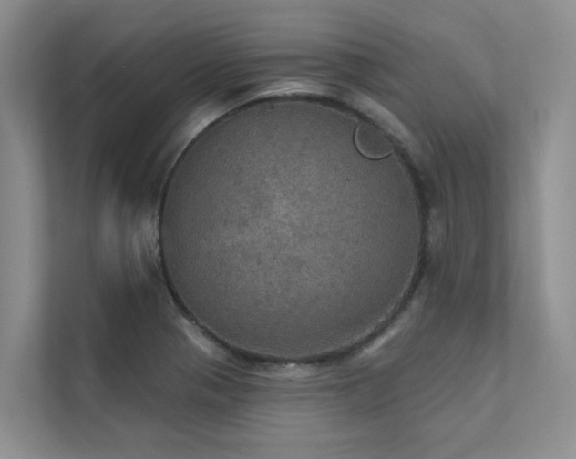 X0000111581321200907161417