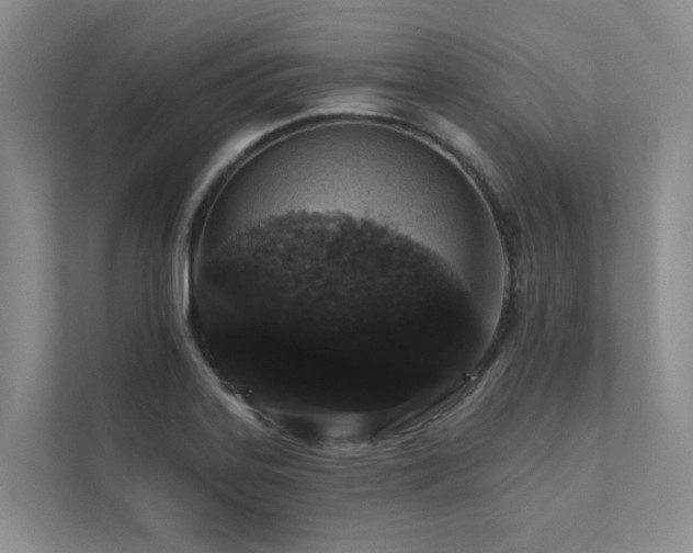 X0000111581323200907161417