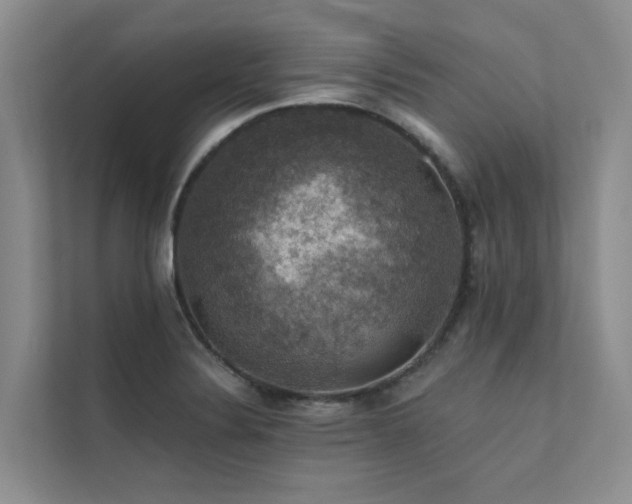X0000111581324200907161417