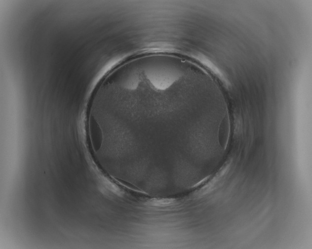 X0000111581325200907161417