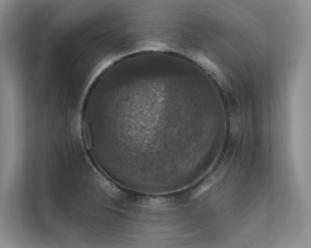 X0000111581326200907161417