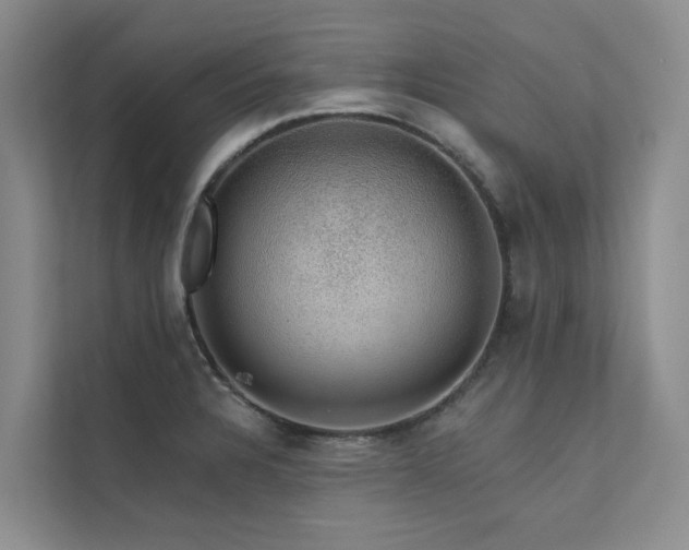 X0000111581328200907161417