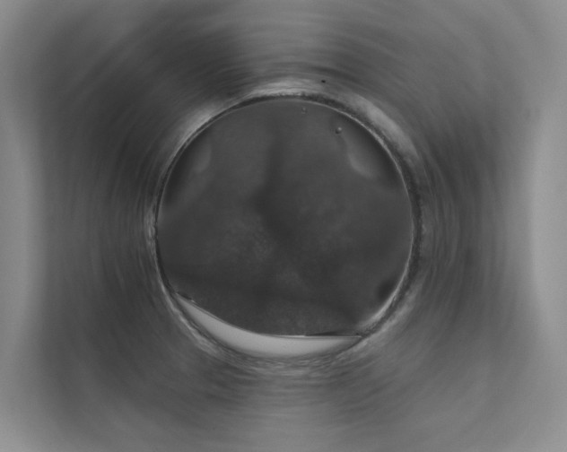 X0000111581329200907161417