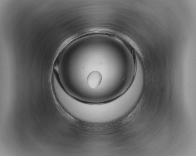 X0000111581330200907161417