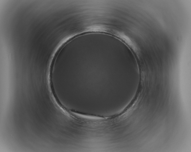 X0000111581331200907161417