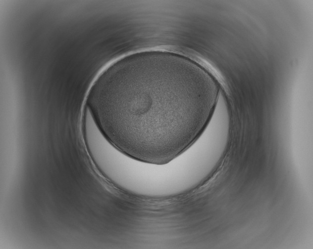 X0000111581332200907161417