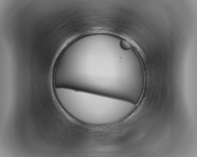 X0000111581333200907161417