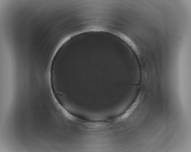 X0000111581334200907161417