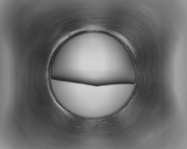 X0000111581335200907161417
