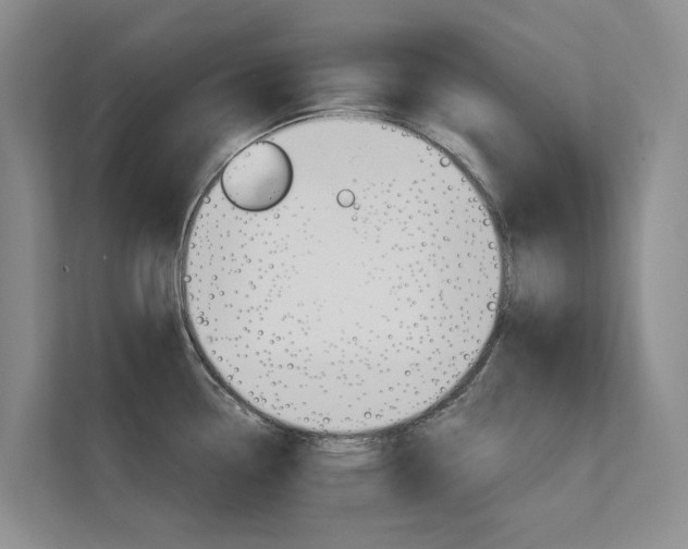 X0000111581338200907161417