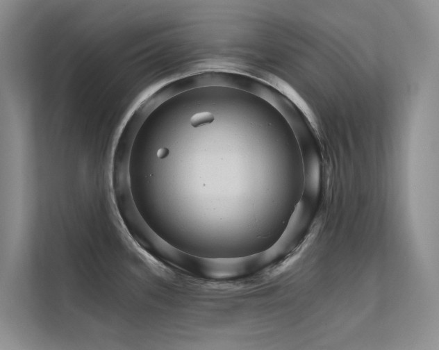 X0000111581339200907161417