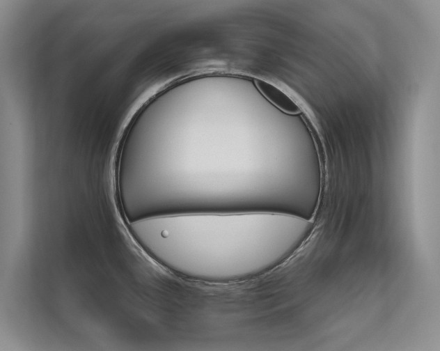 X0000111581341200907161417