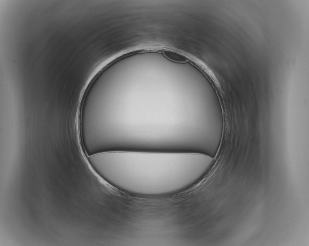 X0000111581343200907161417