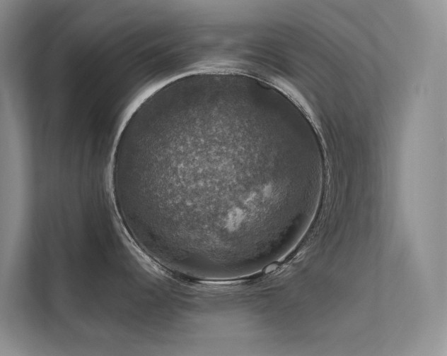 X0000111581344200907161417