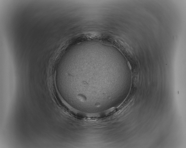 X0000111581345200907161416
