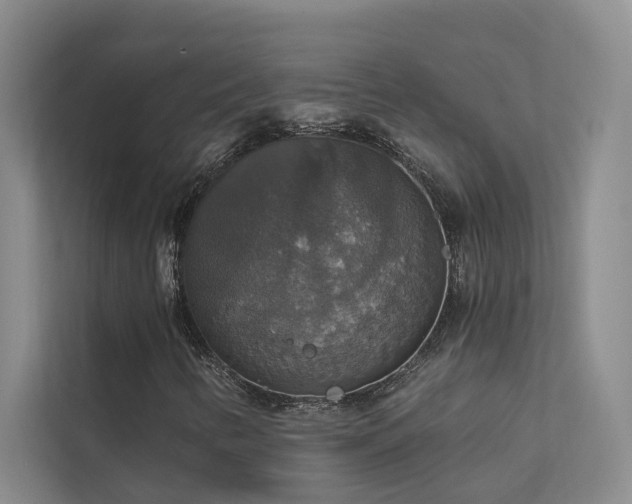 X0000111581346200907161416