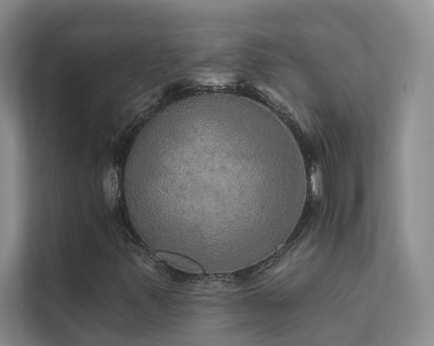 X0000111581347200907161416