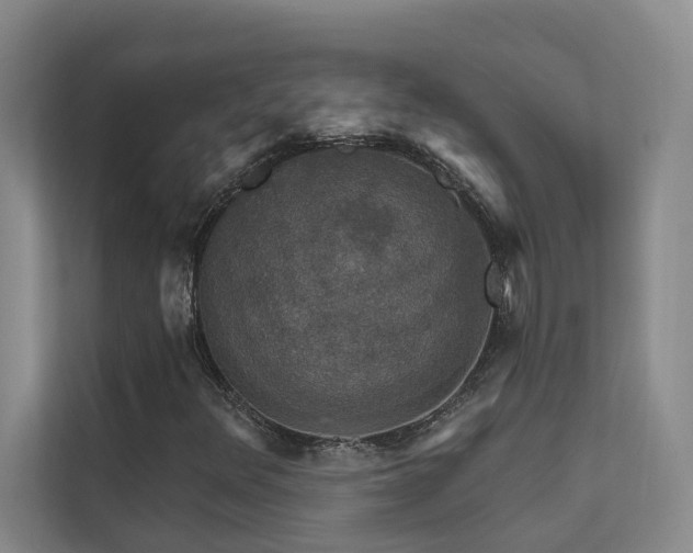 X0000111581348200907161416
