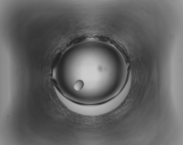 X0000111581349200907161416