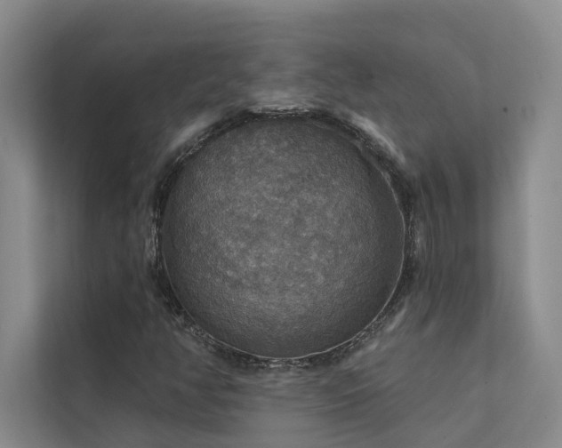 X0000111581350200907161416