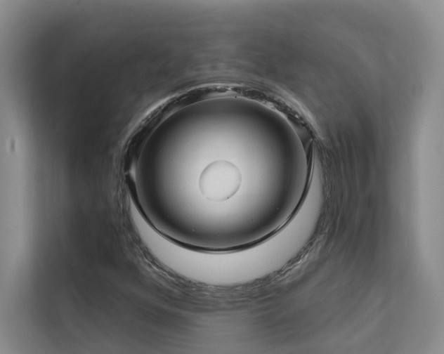 X0000111581352200907161416