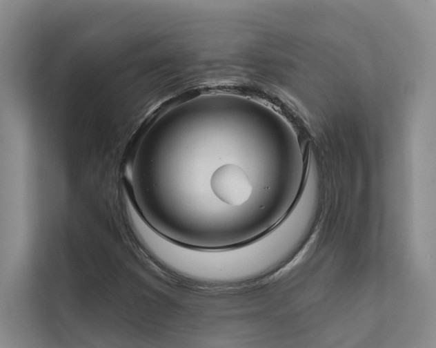 X0000111581353200907161416