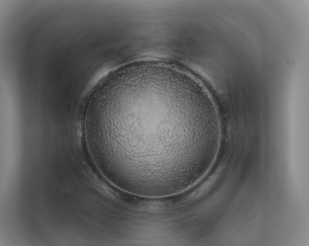 X0000111581355200907161416