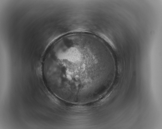 X0000111581356200907161416
