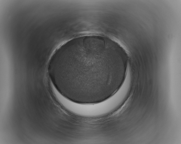 X0000111581357200907161416