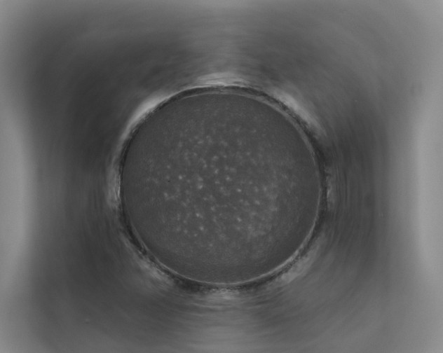 X0000111581358200907161416