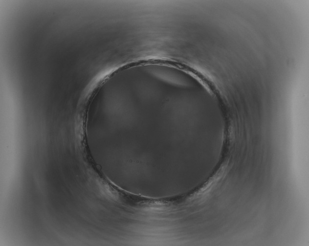 X0000111581359200907161416