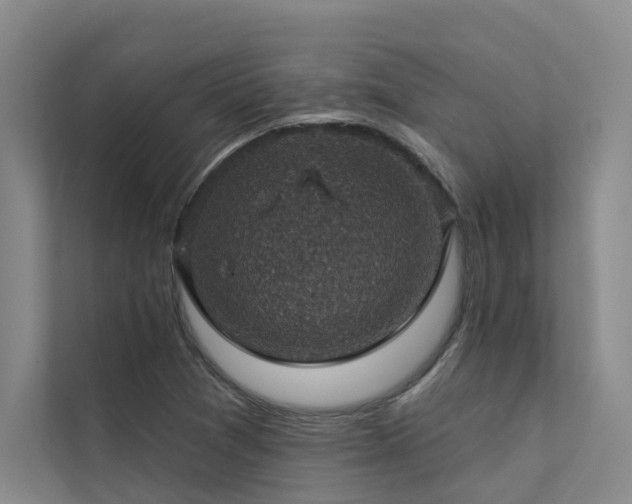 X0000111581361200907161416