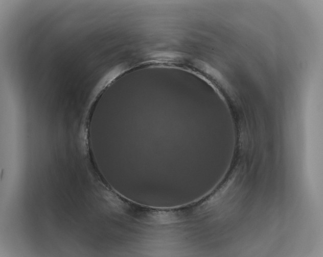 X0000111581362200907161416