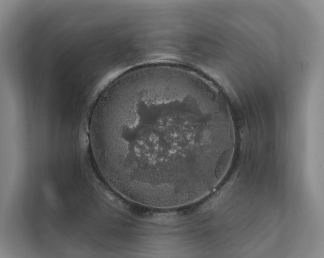 X0000111581363200907161416